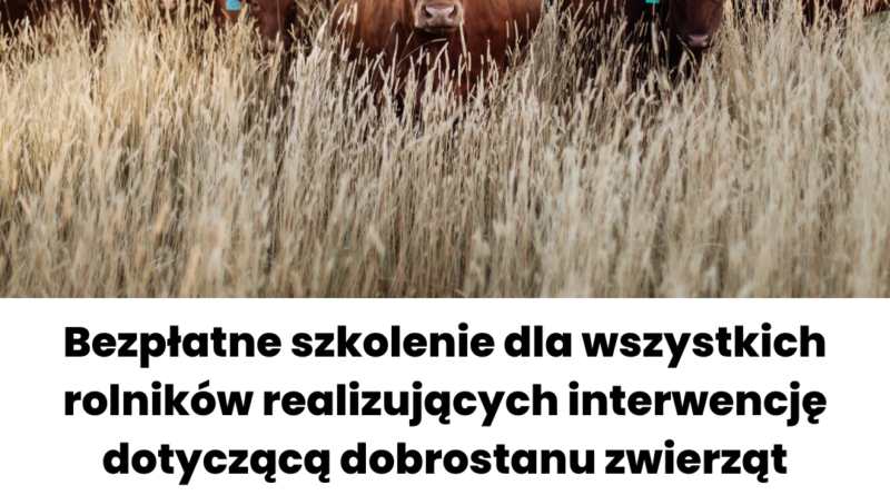 Jednorazowe szkolenie z zakresu metod ograniczających stosowanie antybiotyków